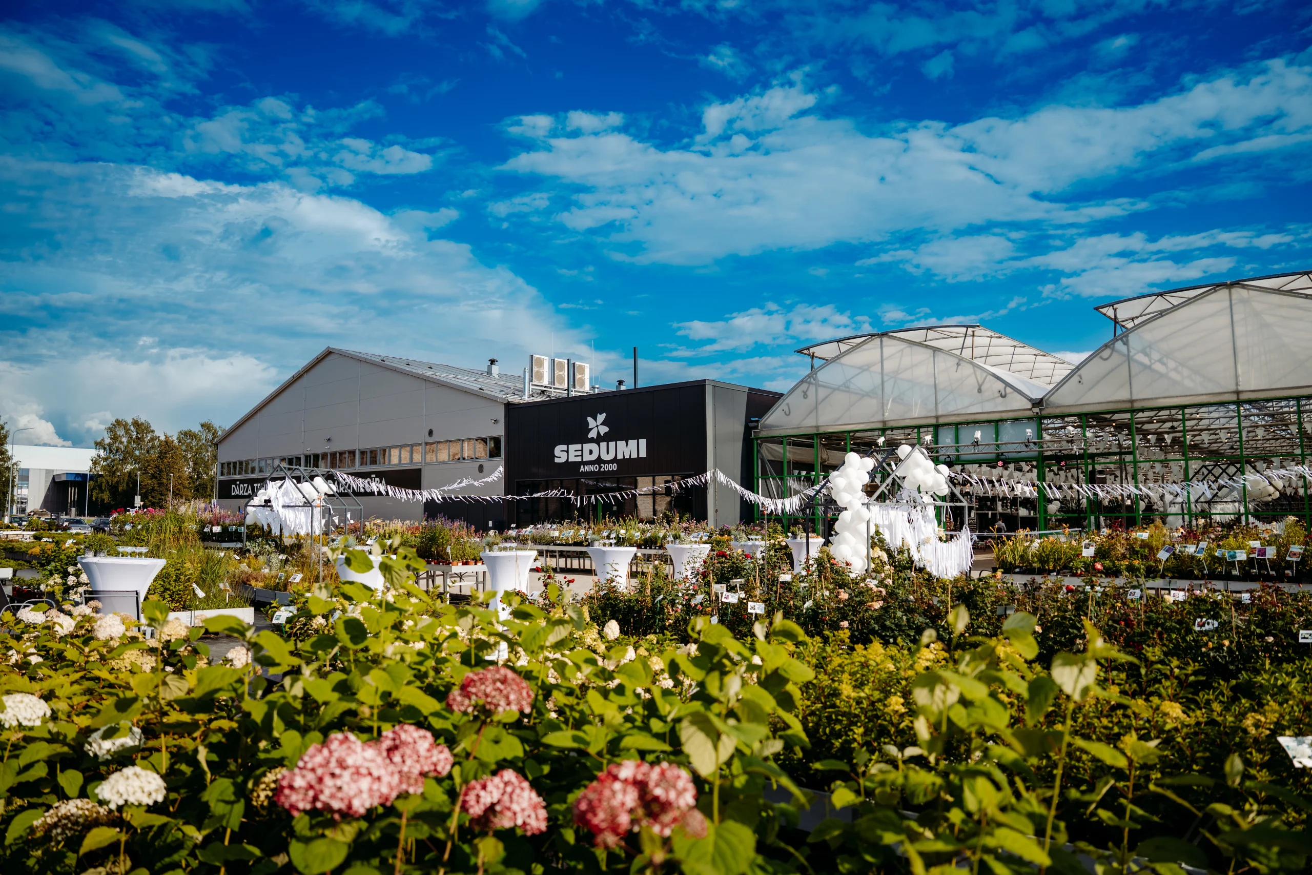 Adasdasdasd asdas as asds