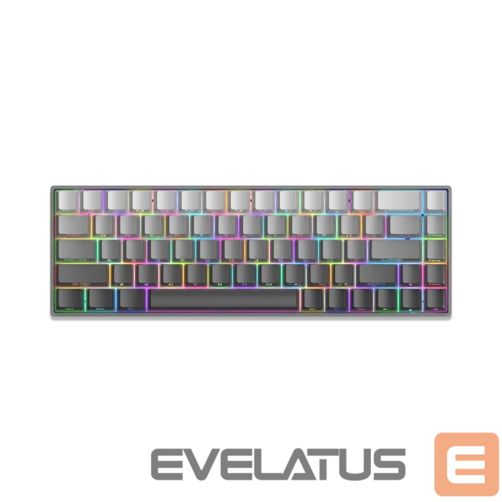 Arvuti klaviatuur White Shark GK-007711 Nunchaku Grey / Red US