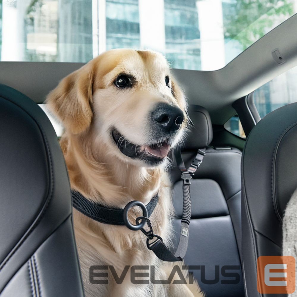 Other goods Spigen Spigen PS100 Universal Pet Seat Belt - Black