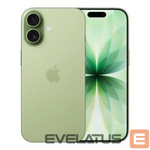 Смартфон Apple  | iPhone 17 | Sage | 6.3 " | 2622 x 1206 pixels | OLED | A19 | Internal RAM 8 GB | 256 GB | Dual SIM | Nano SIM | 5G | Main camera resolution 48 MP | iOS 26 | Secondary camera resolution 48 MP 