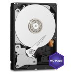 Kietasis diskas HDD Western Digital  HDD||Purple|1TB|SATA 3.0|64 MB|5400 rpm|3,5"|WD11PURZ 