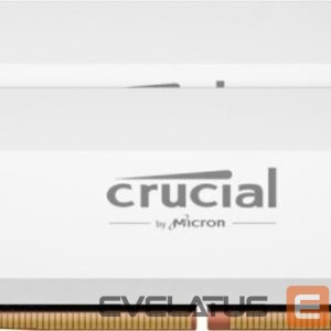 Operatiivmälu DDR4 Crucial  MEMORY DIMM 64GB DDR5-6000 K2/PRO OC CP2K32G60C40U5W 