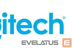 Computer mouse Logitech  MOUSE USB WRL PRO 2 LIGHTSPEED/BLACK 910-007295 